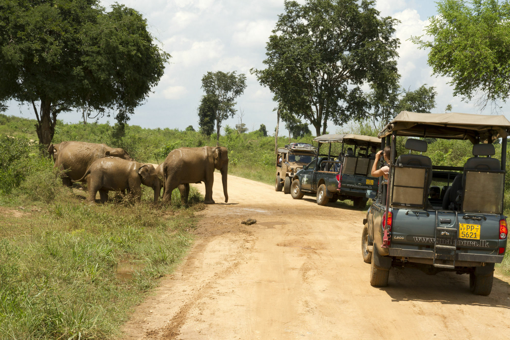 Mahoora Tented Safari Camp Udawalawe Esterno foto