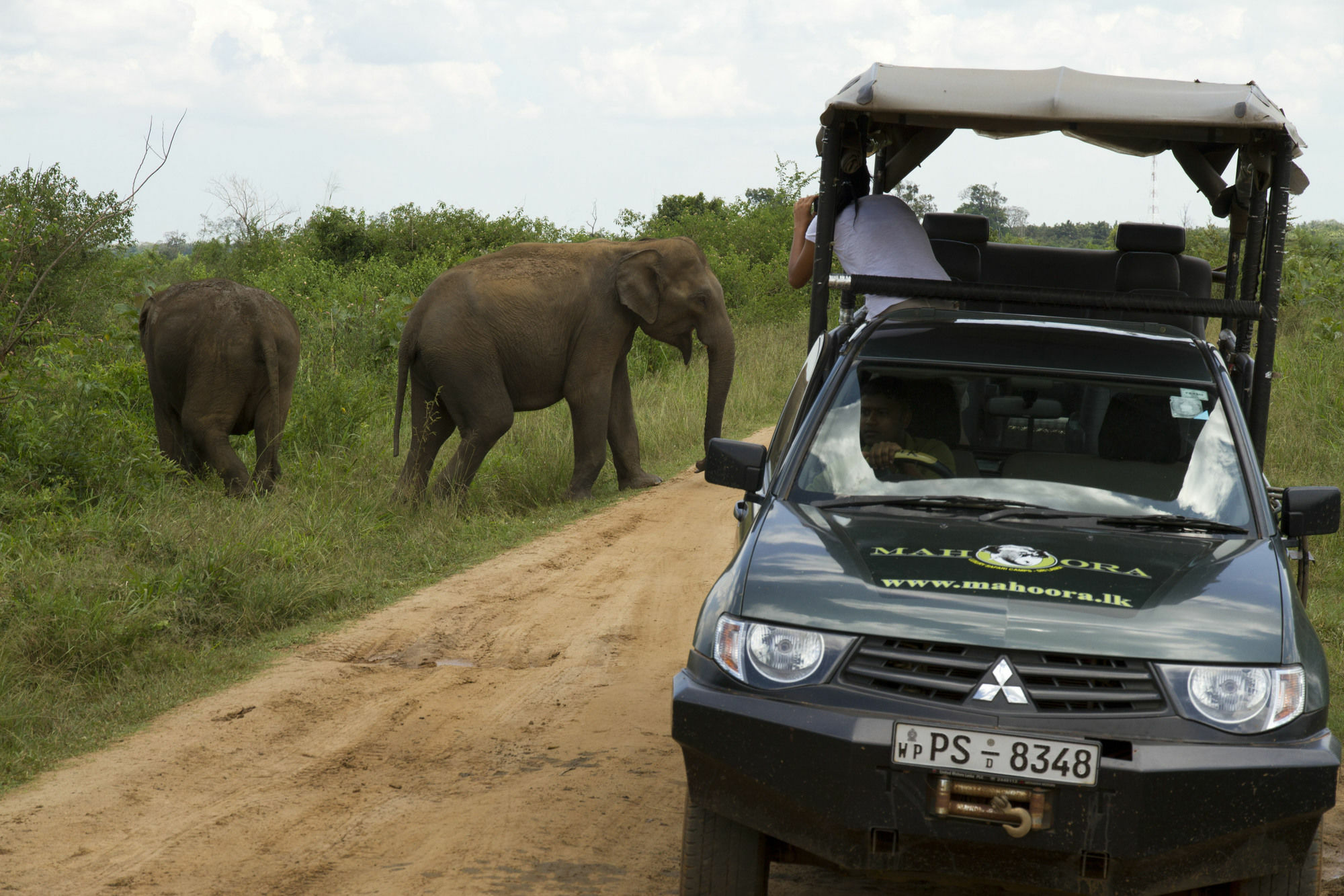 Mahoora Tented Safari Camp Udawalawe Esterno foto