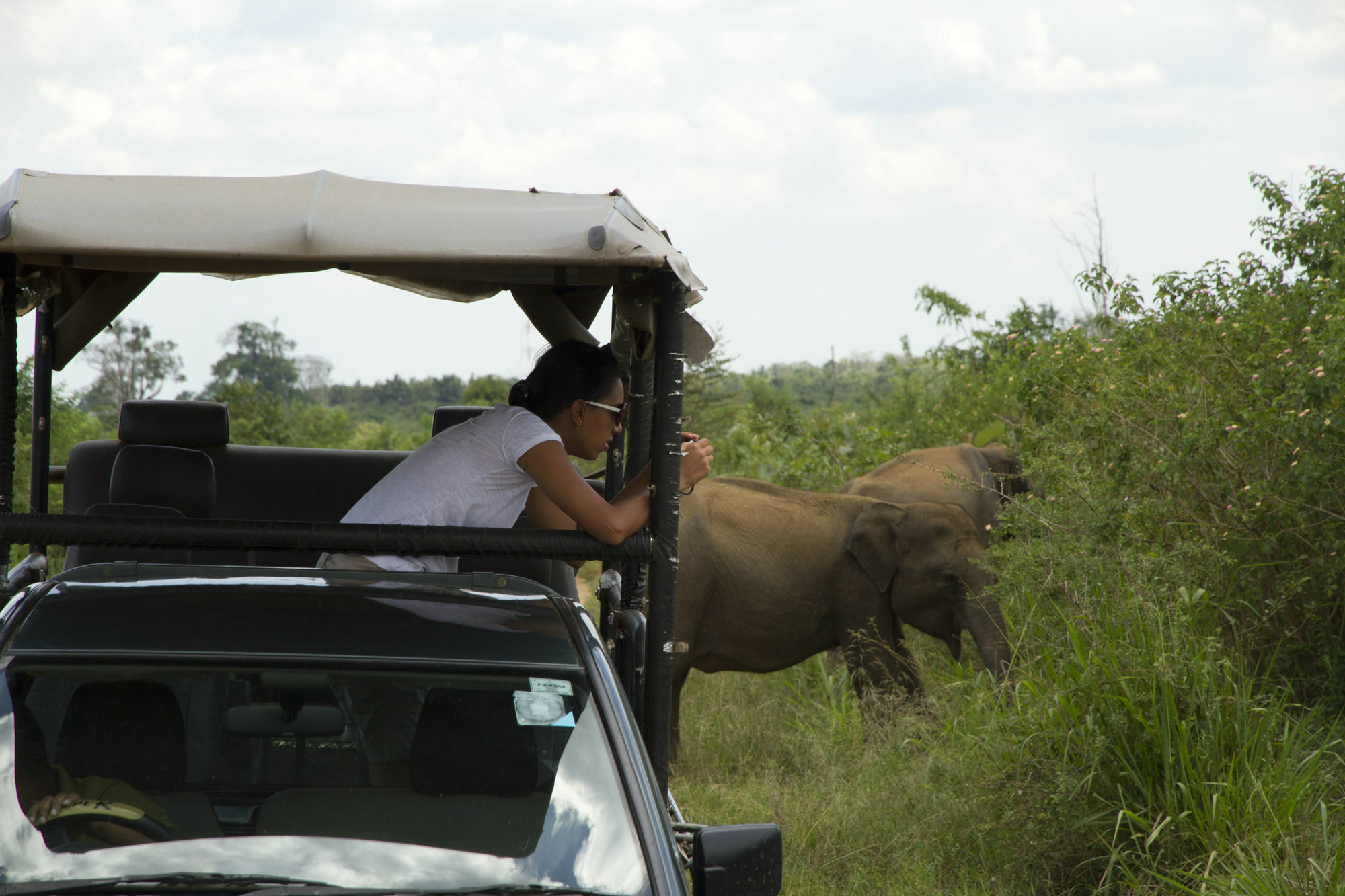 Mahoora Tented Safari Camp Udawalawe Esterno foto