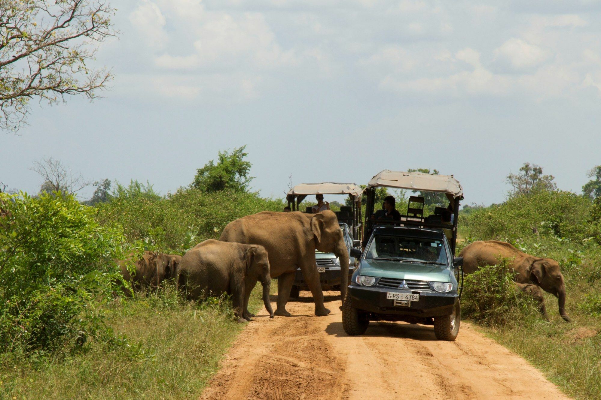 Mahoora Tented Safari Camp Udawalawe Esterno foto