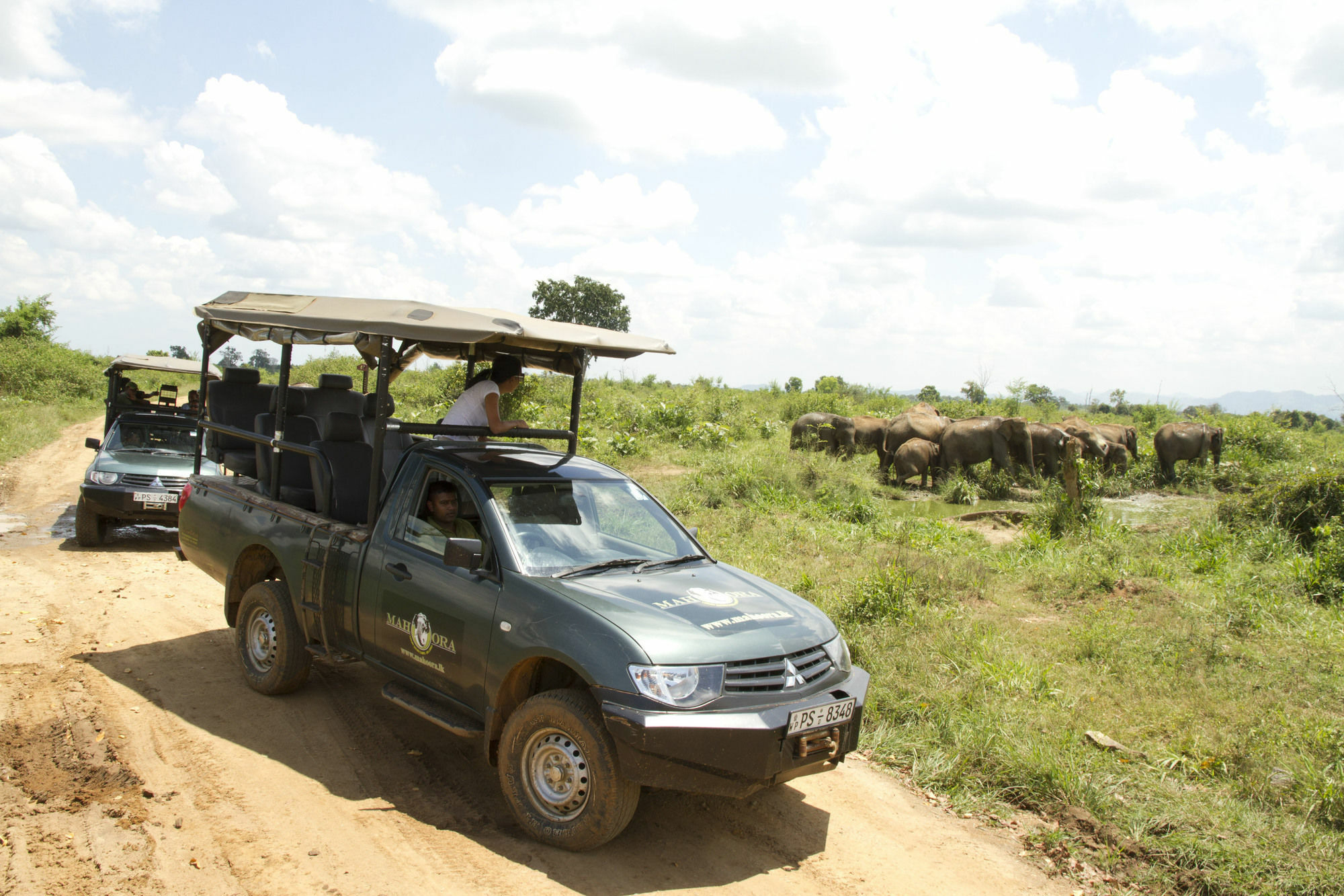 Mahoora Tented Safari Camp Udawalawe Esterno foto